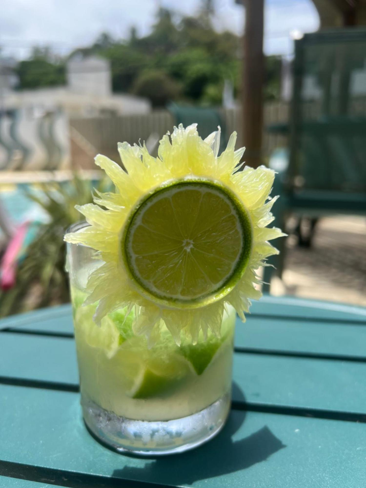 伊列乌斯 普拉亚贝拉旅馆酒店 外观 照片